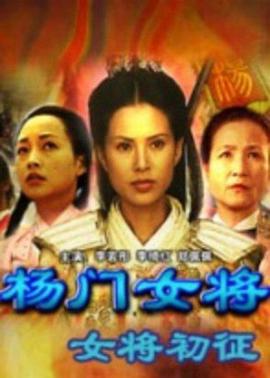 楊門(mén)女將之女將初征2001